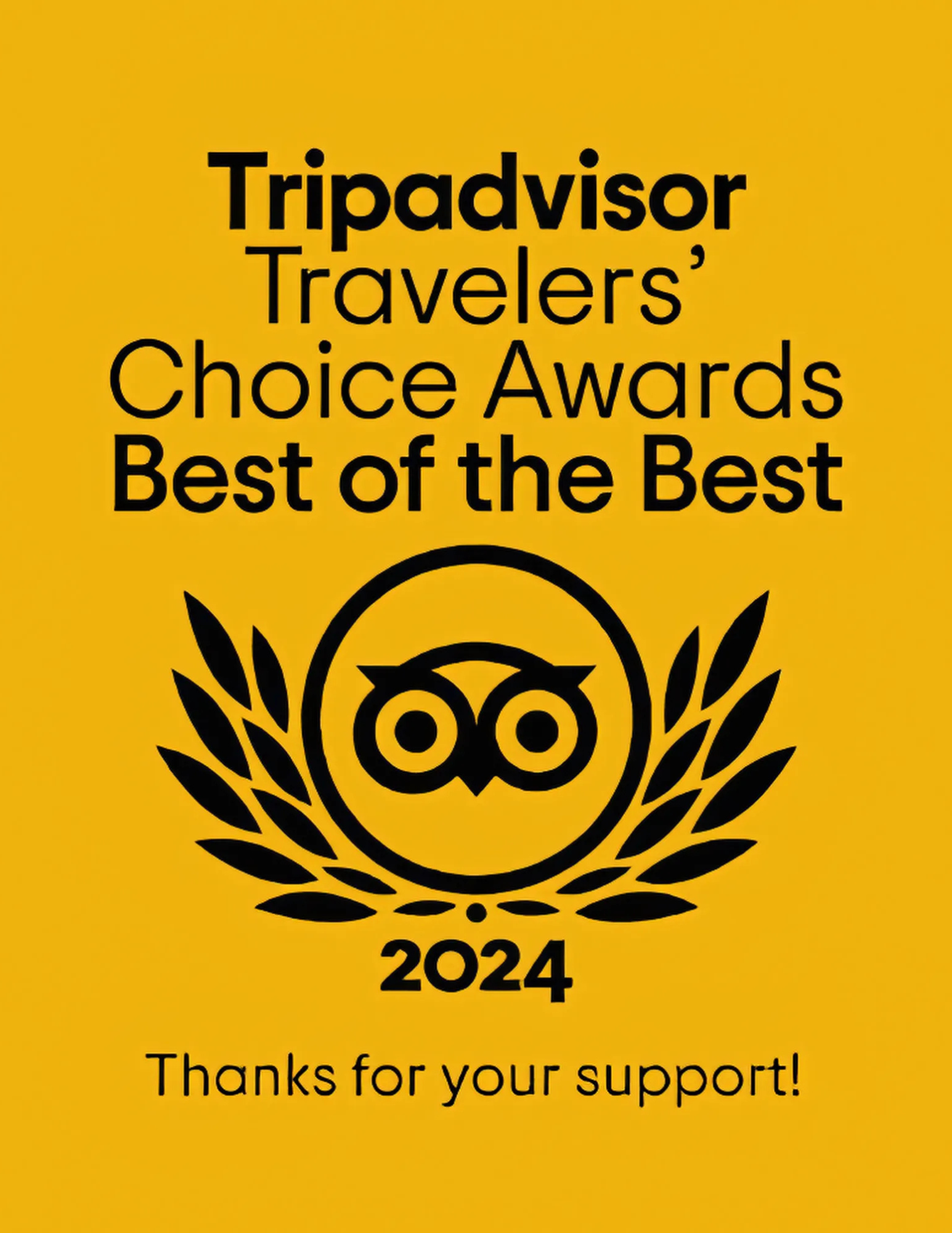 Tripadvisor 2024