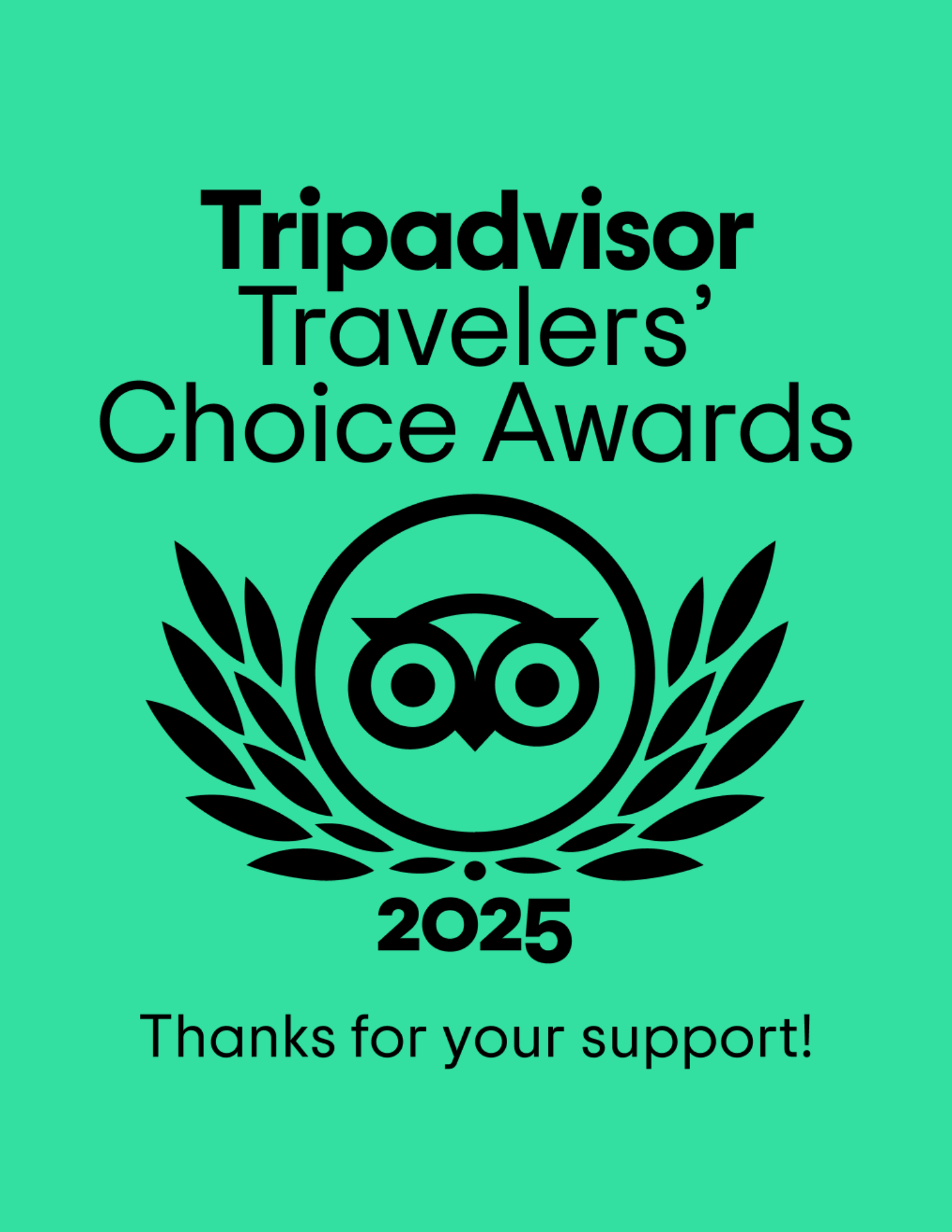 Tripadvisor 2025 1